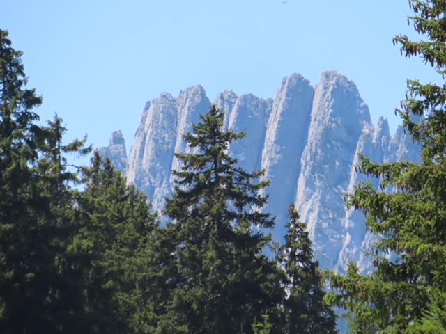 IMG 1840.jpg