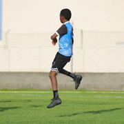 IMG 4238