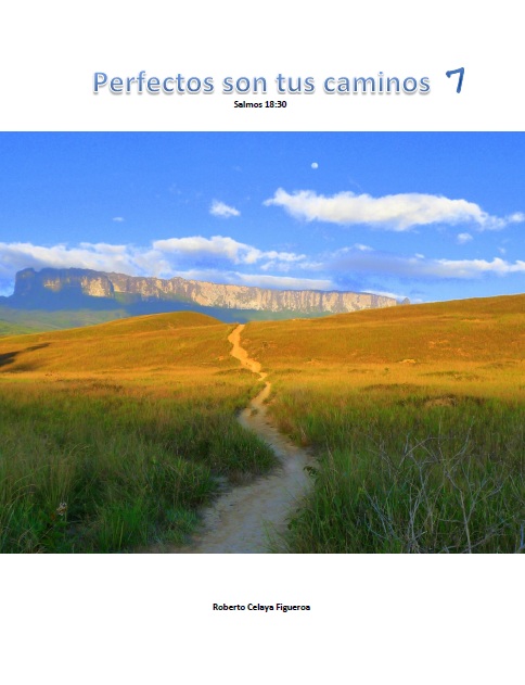 Perfectos son tus caminos 7