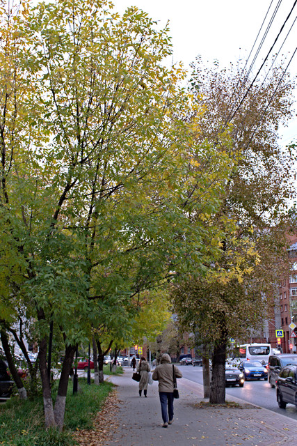 DSCF2131
