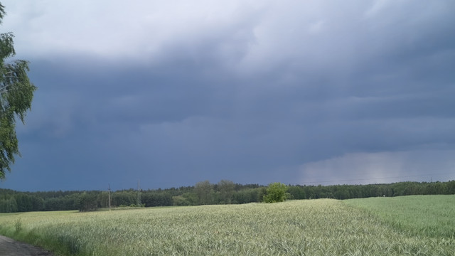 IMG 20260614 161700969