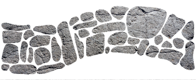 transparent.png
