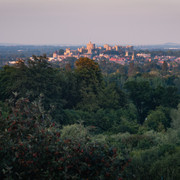 L1013822