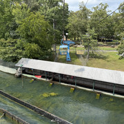 IMG 7599