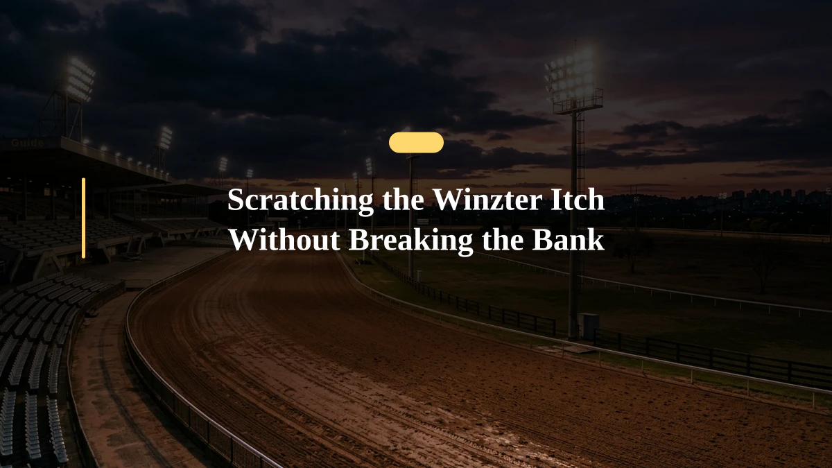 Scratching the Winzter Itch Without Breaking the Bank