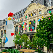 IMG-3601