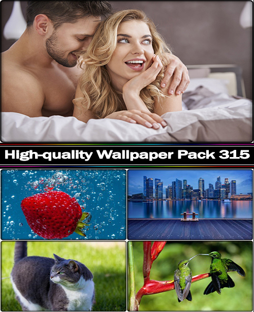 High-quality Wallpaper Pack 315