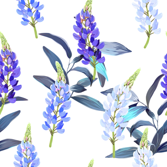 nohat bg removed e72e3dd2.png