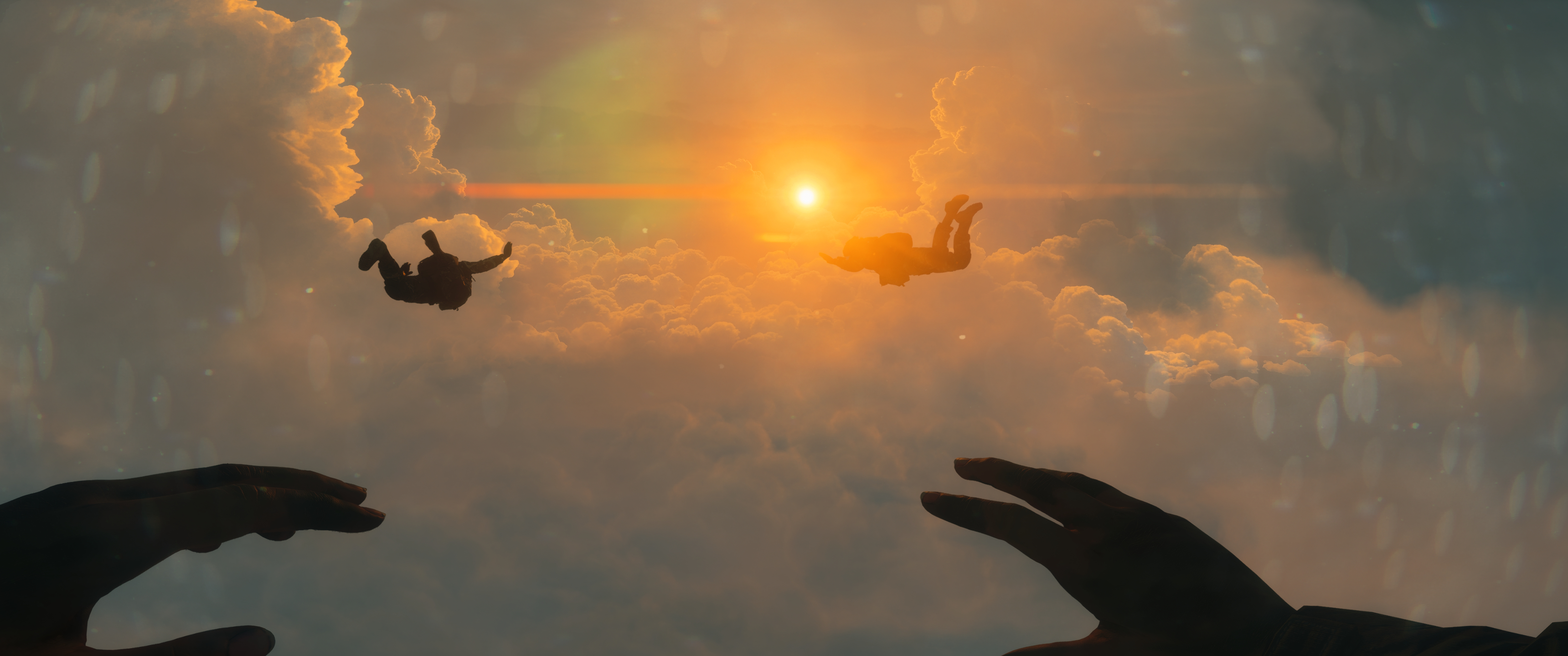 BF4.jpg