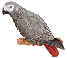 img3.gif