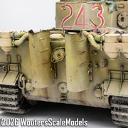 Afrika Tiger 149