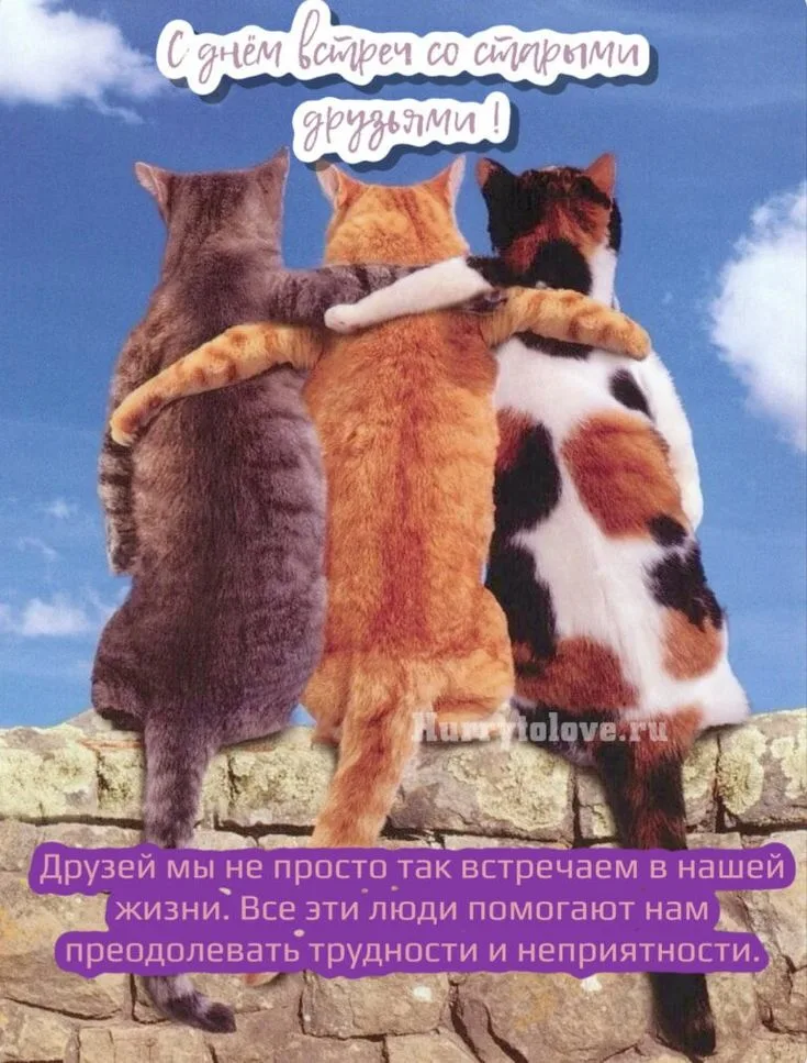 https://i.ibb.co/39fqKGsd/IMG-5596.webp