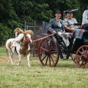 DSC05090