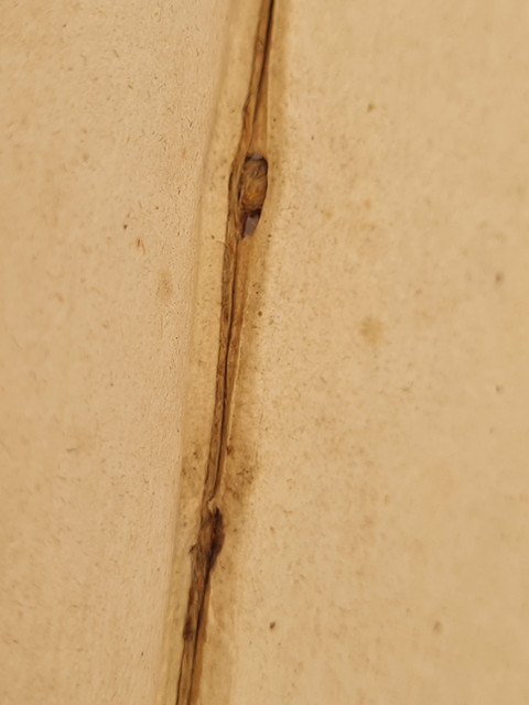 20250922-125535.jpg