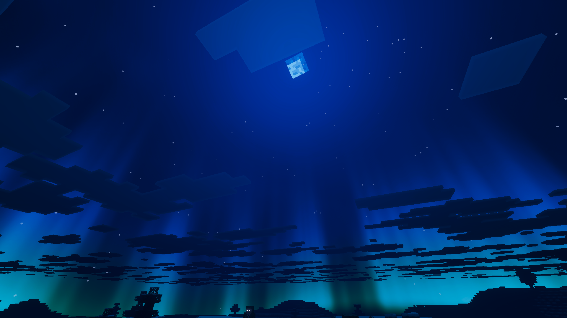 Moonlit Winter Sky
