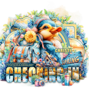 Christy Spring Check In vi