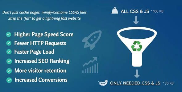 Download Asset CleanUp Pro 1.2.7.2 – Performance WordPress Plugin