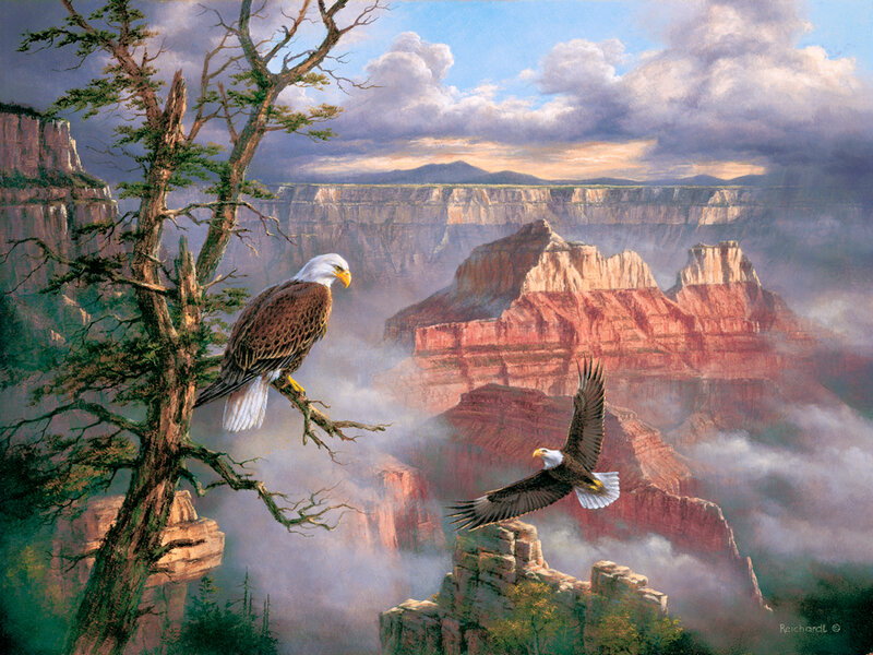 Lofty Perch
