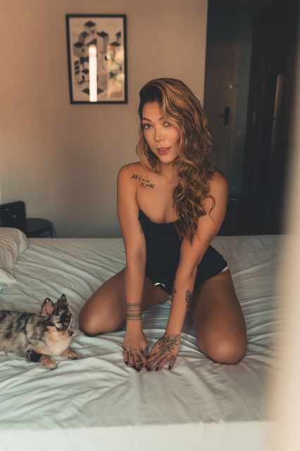 set32.jpg