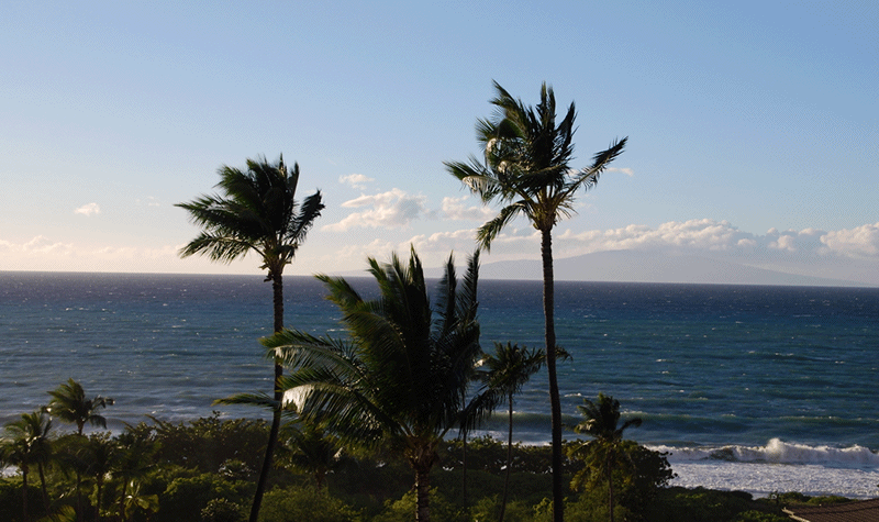 Windy-Beach-GIF.gif