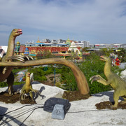 DSC00019