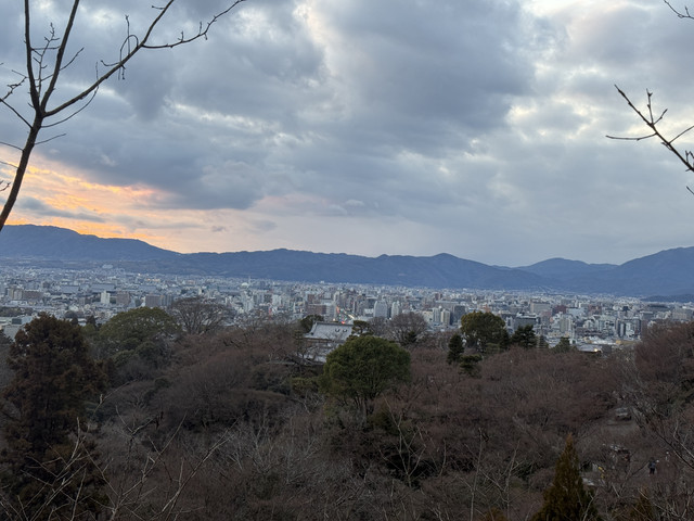IMG-1846.jpg