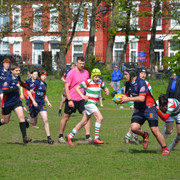 DSC 0330