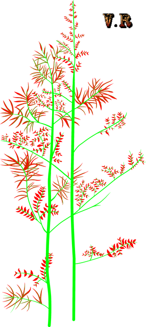 7060b82387936fb2e6979c503bb4299c.png