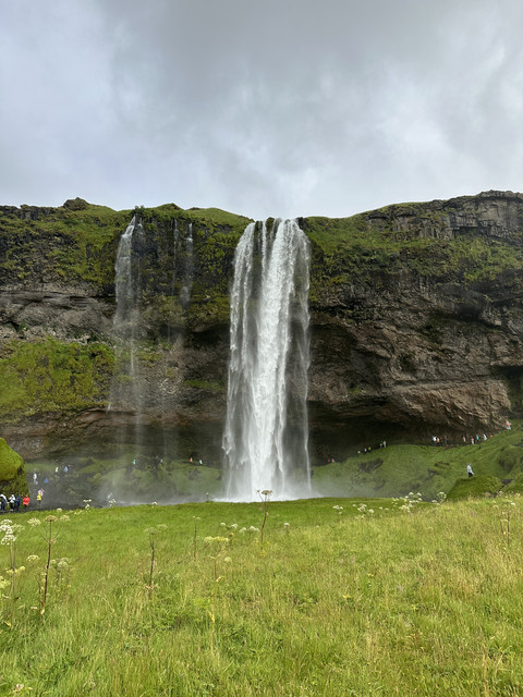 IMG-6233