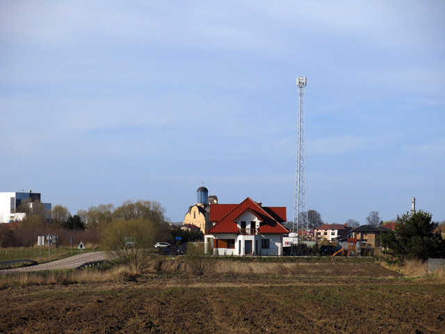 IMG-4519