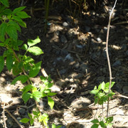 DSC03358