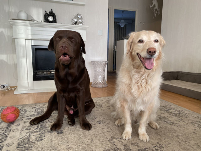 3-ADFFFCC-962-C-4-C52-8-DE5-4-D0-C768938