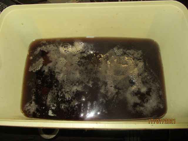 IMG-6064.jpg