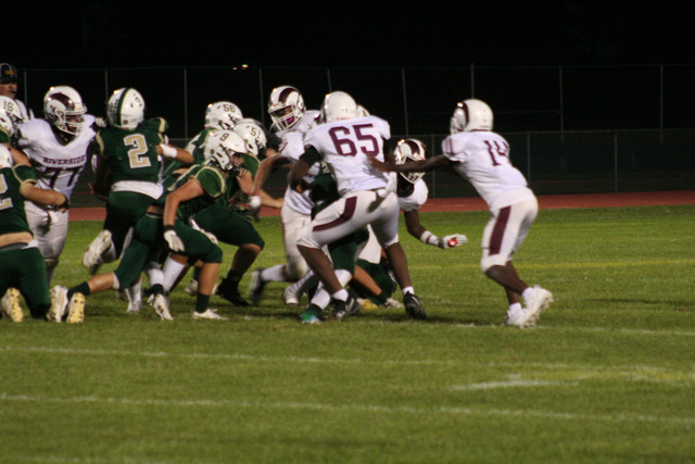 IMG-6524.jpg