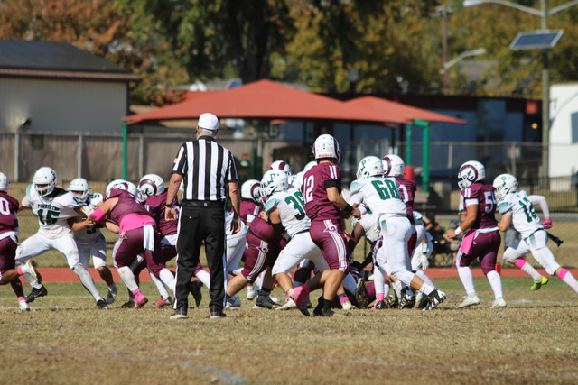 IMG-8107.jpg