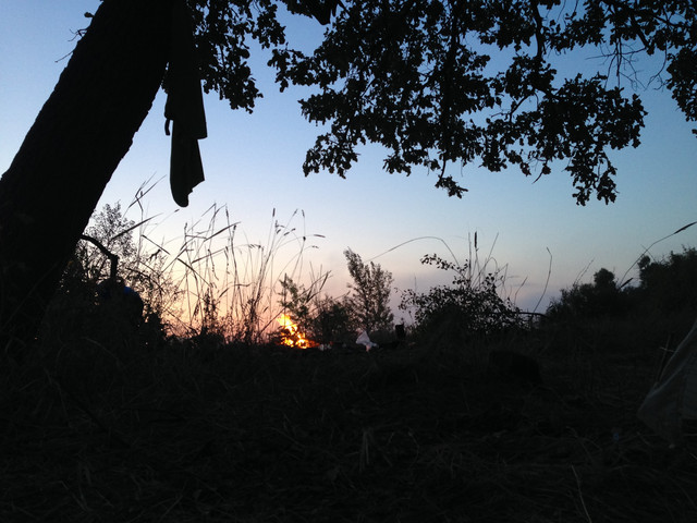 IMG-4215.jpg