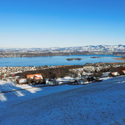 IMGP4481
