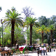 marrakesh-44