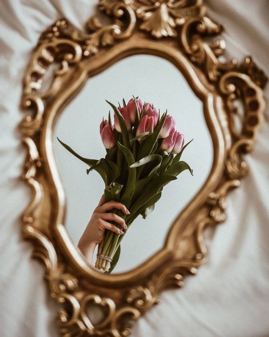 tumblr-35e7f2e44f6bca84480b50e6db882b1d-af1f4402-540