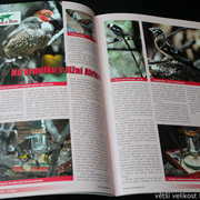 IMG-7828