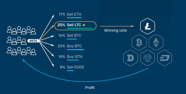 crowdwiz4