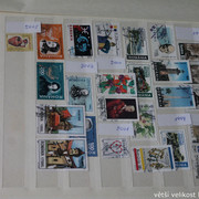 IMG-2567