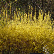 P5041523