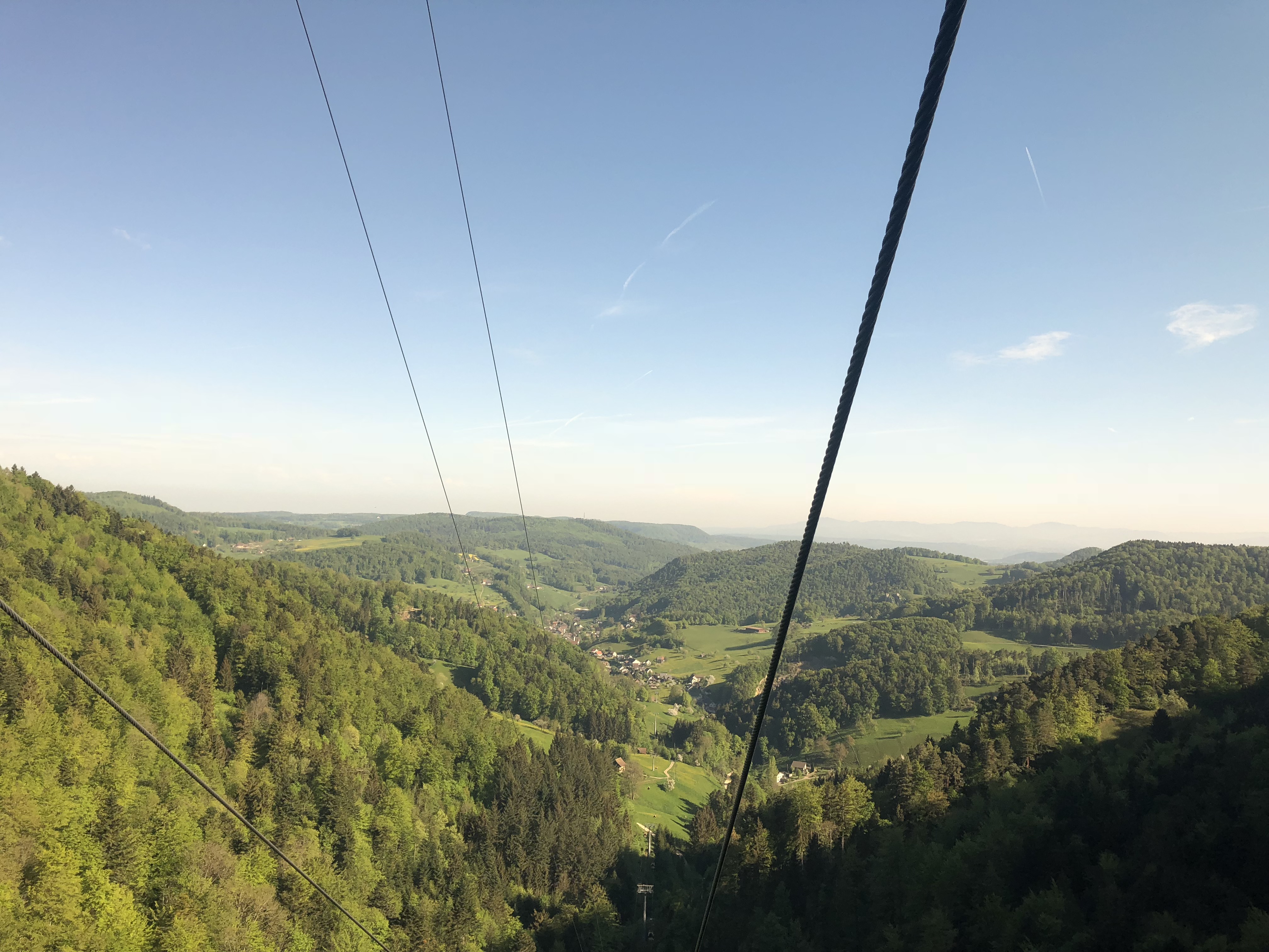 IMG-0877.jpg