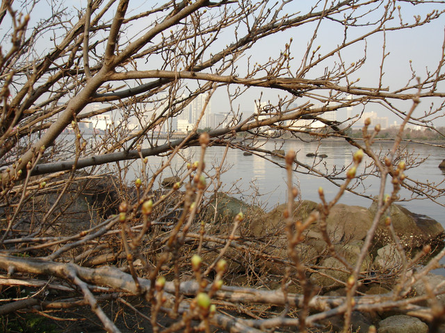 2010-03-16-030