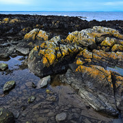 DSC-0356