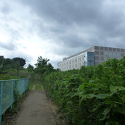 P1320303
