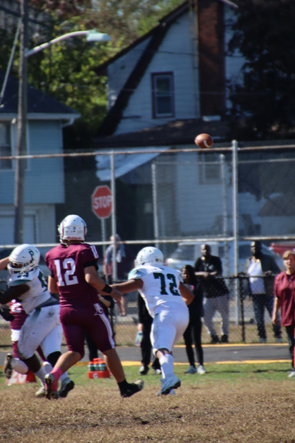 IMG-3461
