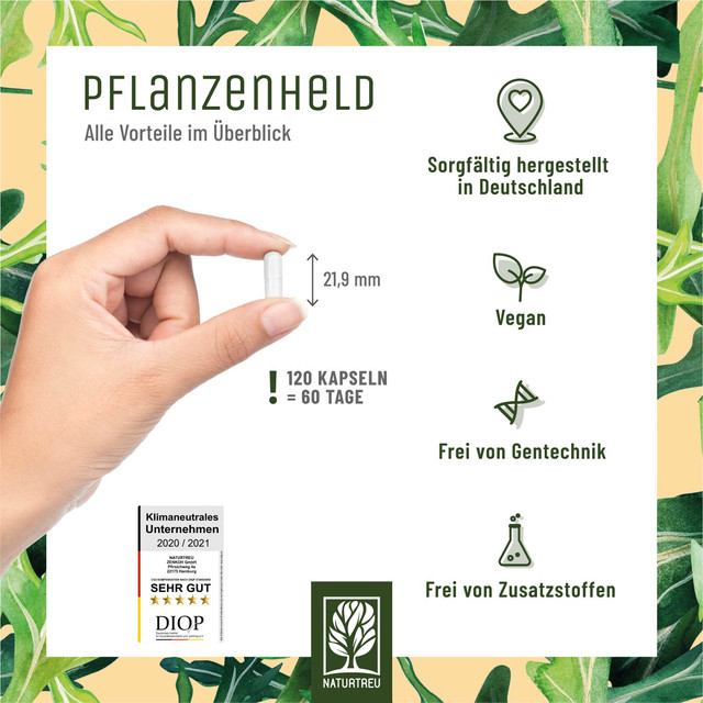 Pflanzenheld-6