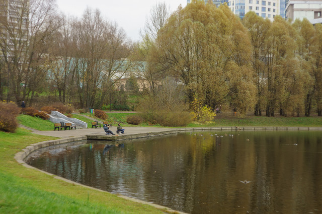 DSC02622.jpg